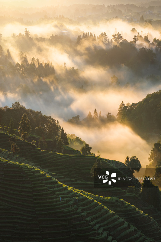 四川雅安大地指纹风光图片素材