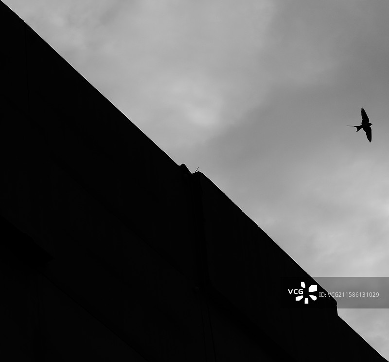 黑白天空背景图。燕子雨建筑物。留白设计素材图片素材