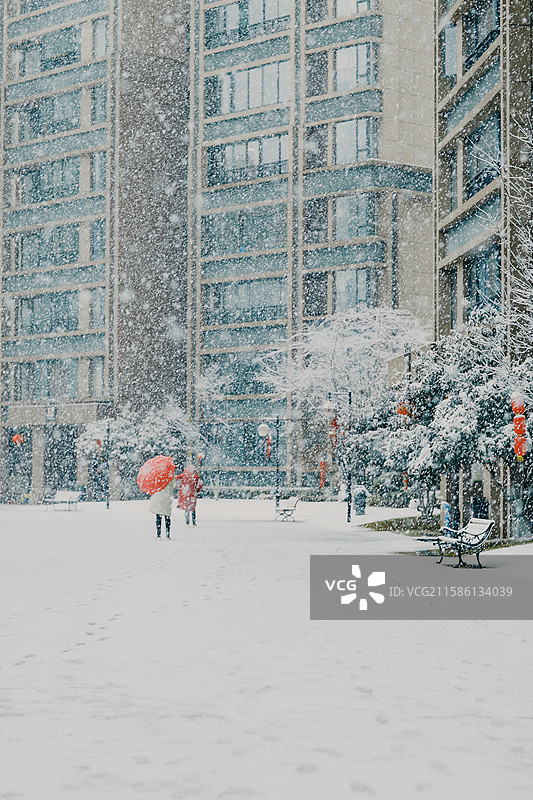 贵阳难得一见的大雪图片素材