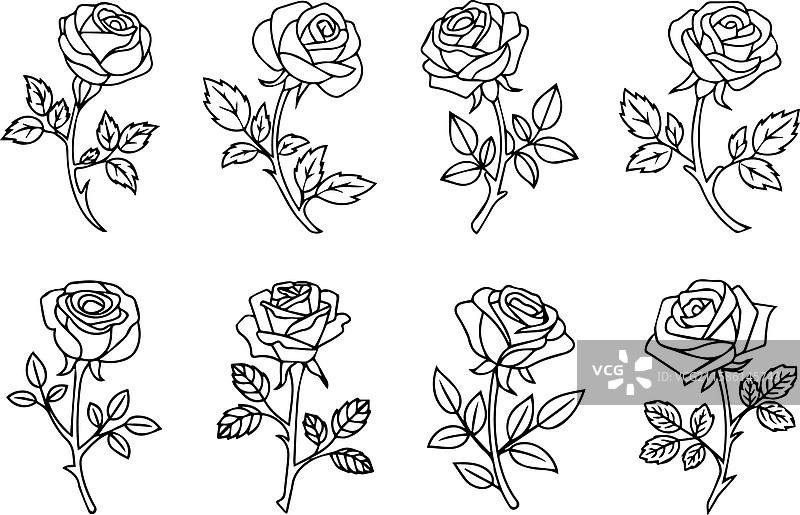一组玫瑰花的单线艺术作品图片素材