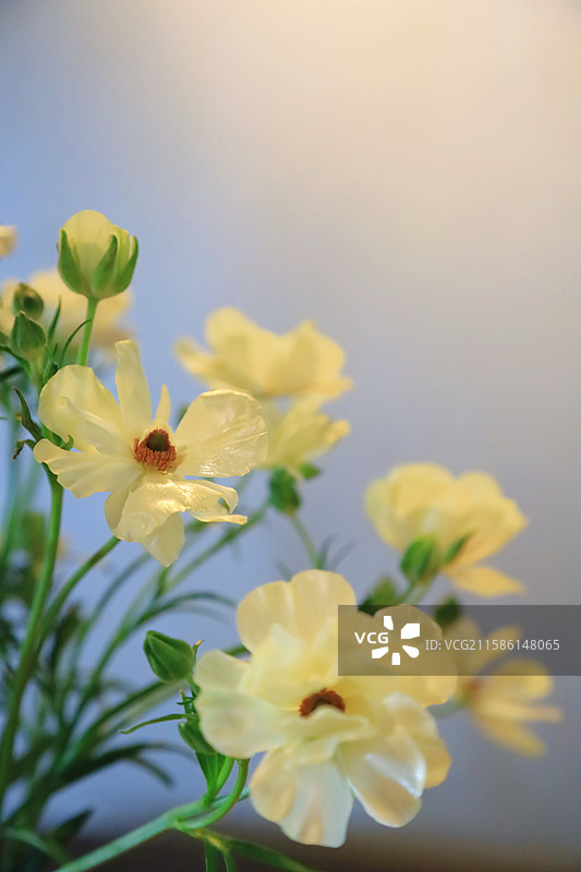 江南无锡锡惠名胜区公园惠山古镇锡山龙光寺图片素材