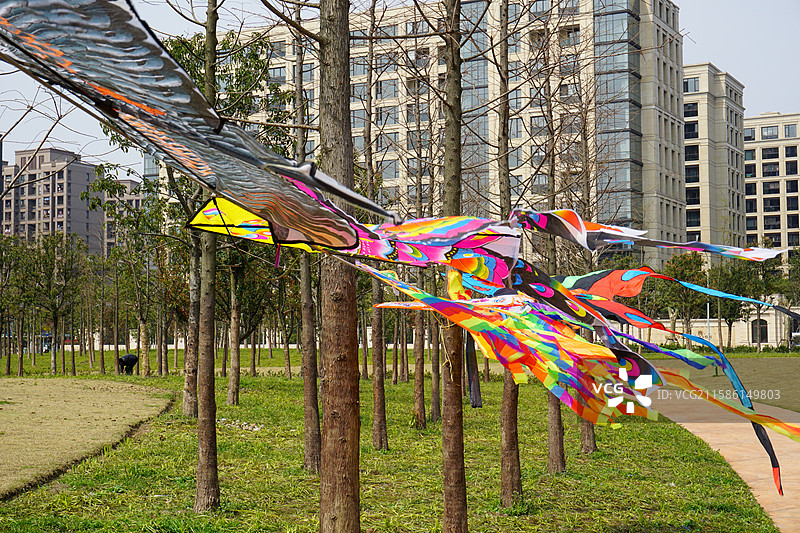 风筝节挂在树上的风筝图片素材