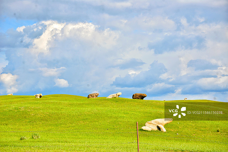 新疆巴音布鲁克草原放牧图片素材