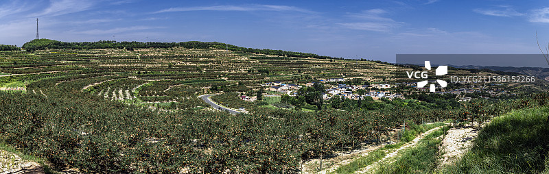 甘肃静宁县之优质苹果基地图片素材