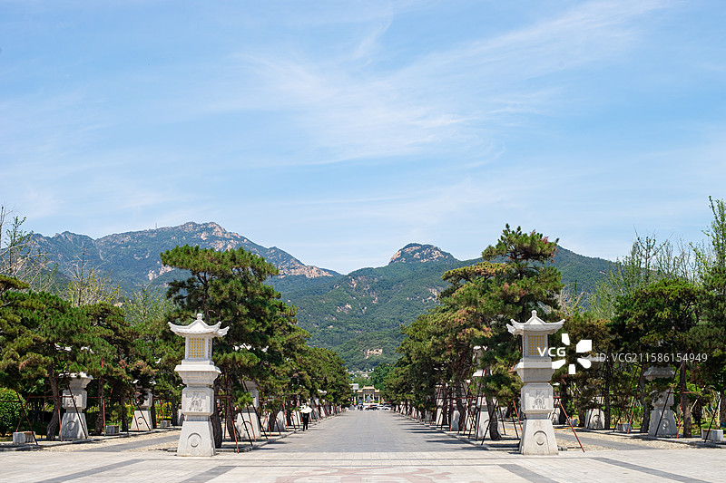 中国山东泰安著名景点泰山旅游风景区，岱庙岱北广场的步行道路和两侧的树木，户外白昼无人图像摄影图片素材
