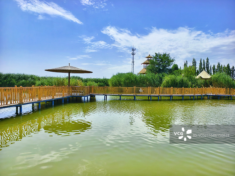 新疆巴音郭楞博湖县博斯腾湖夏天风光图片素材