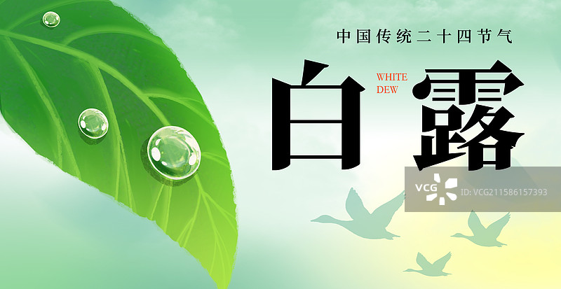 二十四节气叶子露珠横版海报绿色手绘插画图片素材