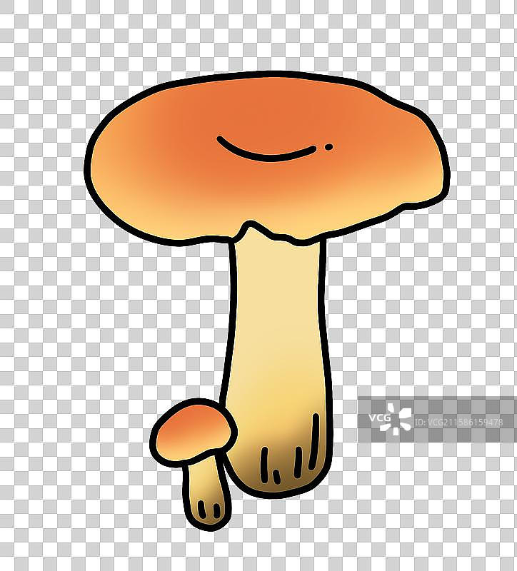 蘑菇插画-奶浆菌图片素材