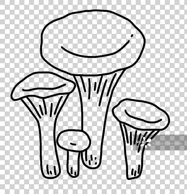 蘑菇插画图片素材