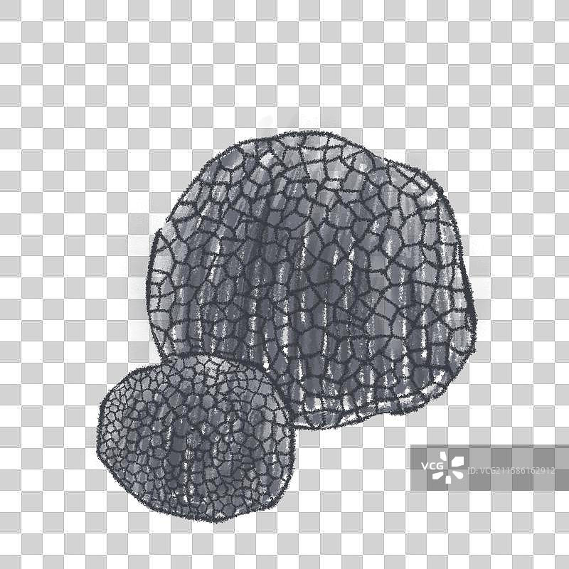 蘑菇插画-黑松露图片素材