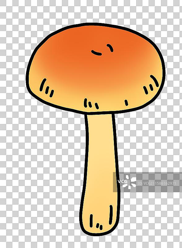 蘑菇插画-鸡蛋菌图片素材