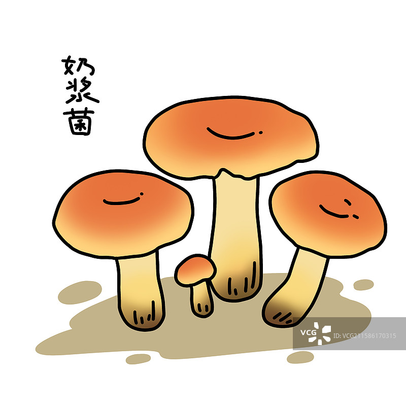 蘑菇插画-奶浆菌图片素材