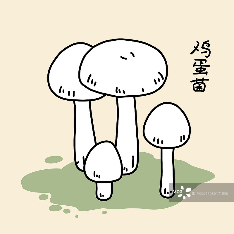 蘑菇插画-鸡蛋菌图片素材