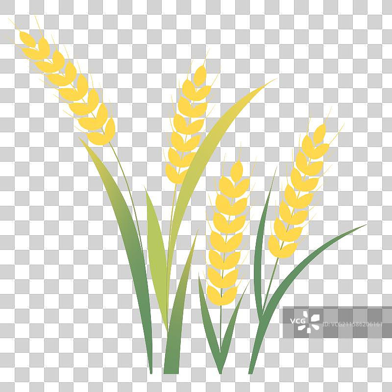 秋日麦子元素图片素材