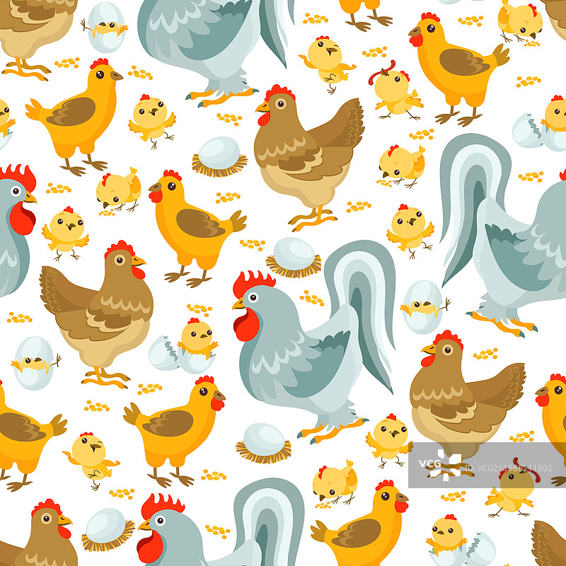 鸡群无缝图案，公鸡与母鸡农场图片素材