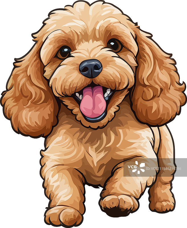 可卡普犬杏色小狗画作可爱的小狗图片素材