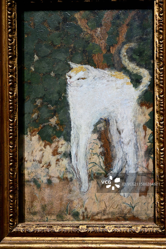 《白猫》  皮埃尔·博纳尔  1894年  纸板油画，巴黎奥赛博物馆的艺术瑰宝，浦东美术馆图片素材
