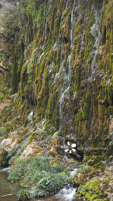 春天的风景照图片素材