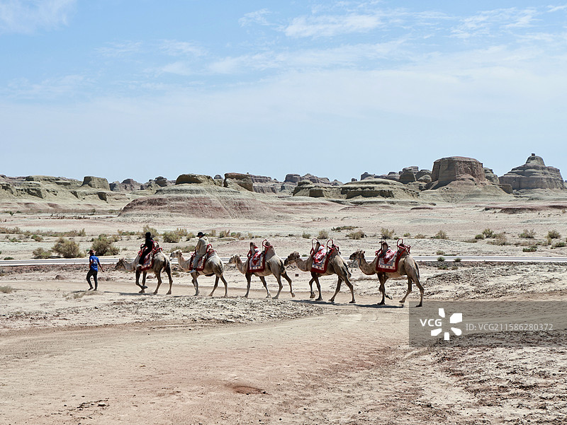 新疆克拉玛依世界魔鬼城雅丹地貌骆驼队图片素材