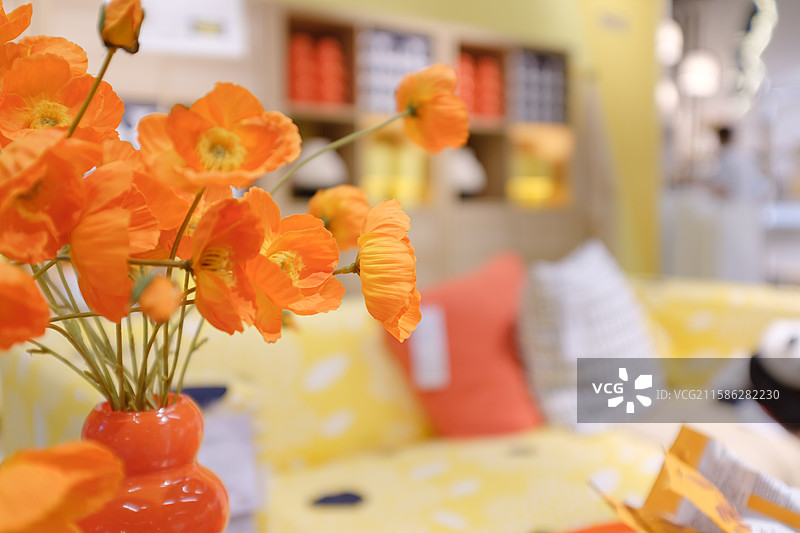 室内的沙发和插花装饰图片素材