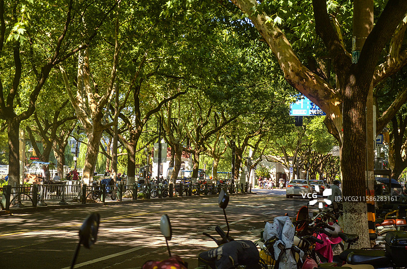 宁波镇海大西门路街景图片素材