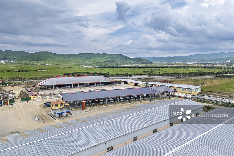 中国牦牛商城红原牦牛交易市场图片素材