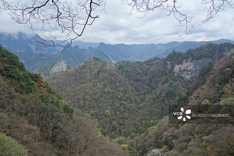 陕西省陕南汉中市略阳县略阳五龙洞国家森林公园：鹰嘴峰图片素材