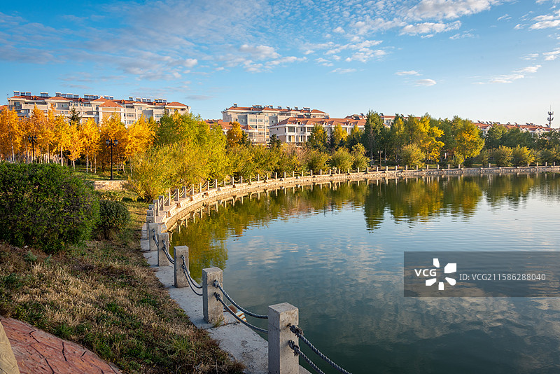 满洲里北湖公园秋日湖畔，湖水清澈，金黄树木环绕，远处建筑增色。图片素材