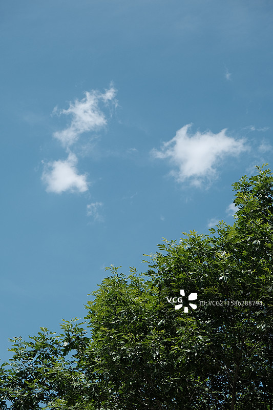 天津动物园，动物园中的动物特写镜头图片素材