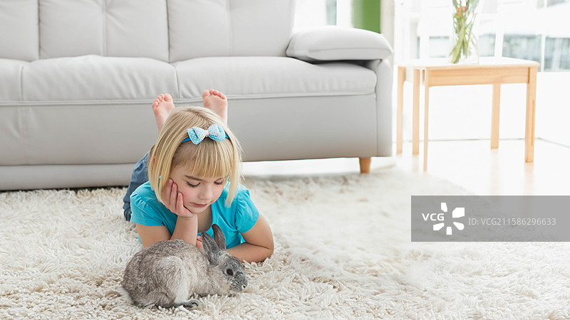 女童躺在客厅的象牙色地毯上，窗下抚摸灰色兔子，留有空白空间图片素材