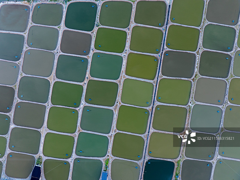 宁波鄞州咸祥养殖塘航拍图片素材