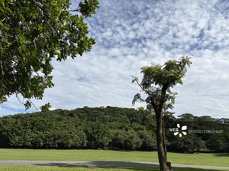 早上8点的莲花山公园，不要问我为什么这么早图片素材