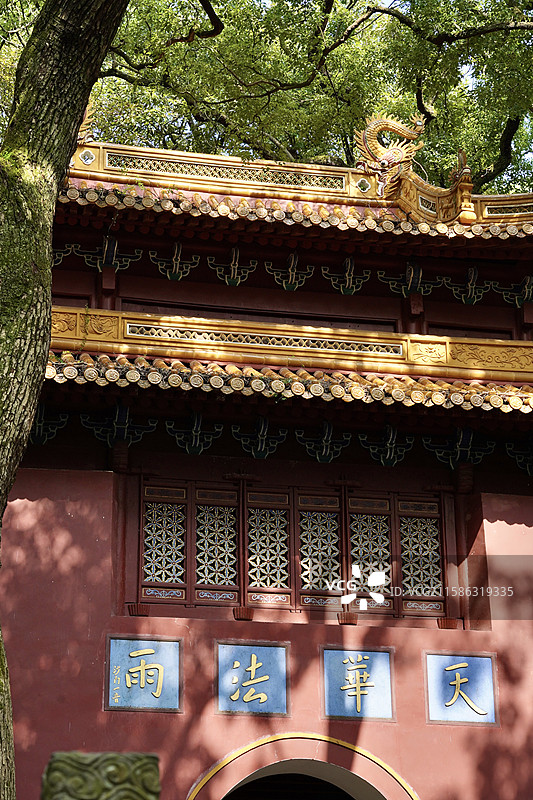 浙江省舟山市普陀山风景区法雨禅寺天华法雨图片素材