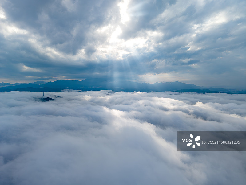 蕉石岭森林公园图片素材