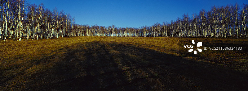 林野苍茫图片素材