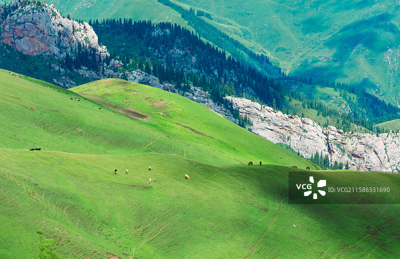 夏天的新疆伊犁伊昭公路天山风景图片素材