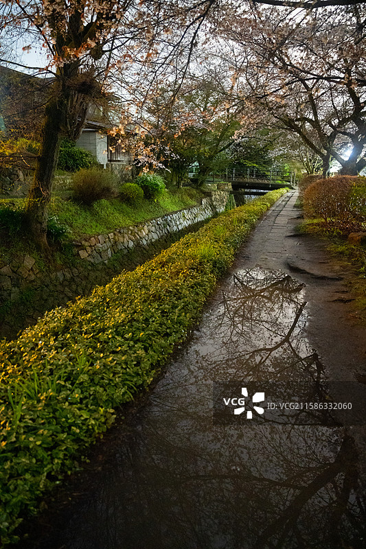 哲学之道图片素材