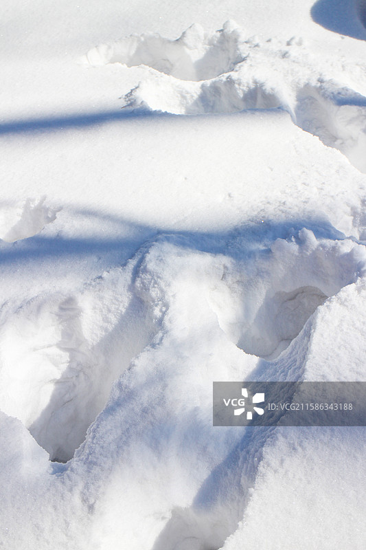 雪的特写镜头图片素材