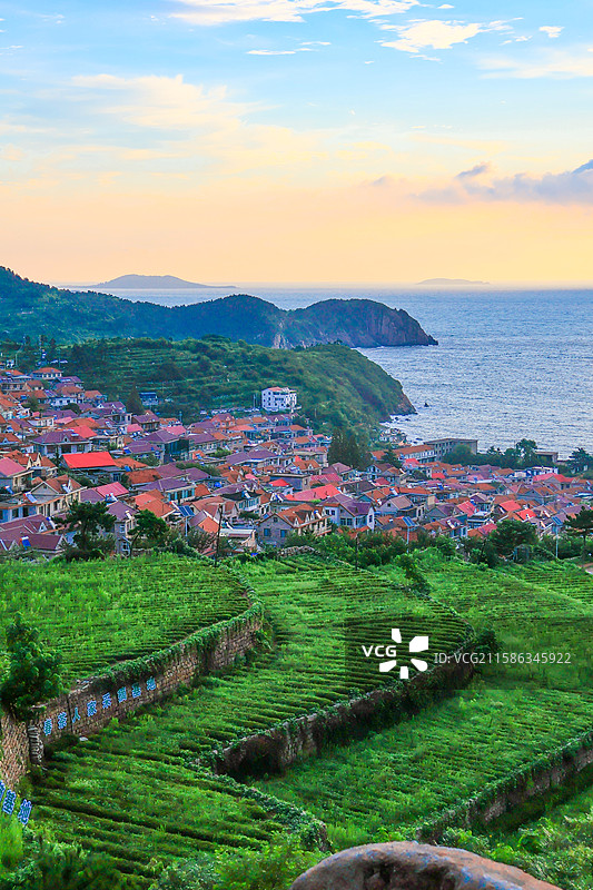 青岛 青山渔村 背影 景点 景区 旅行图片素材
