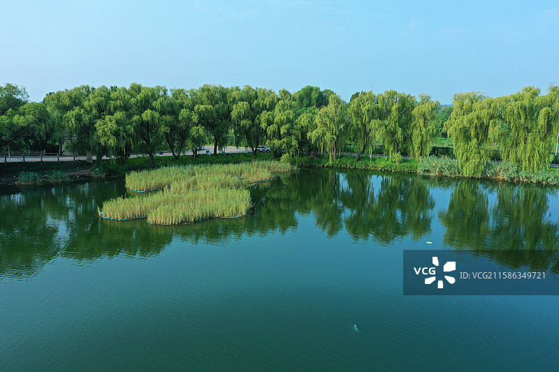 蓝天白云水乡秀，碧波荡漾秋风皱  雁鹭飞翔天边影，百舸千船乌篷走  鸟语欢歌荷香诱，如诗如画醉心透图片素材