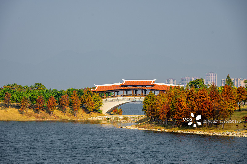 福建厦门马銮湾公园湖畔古桥秋景图片素材