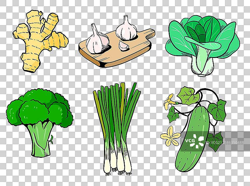 健康绿色食品蔬菜插画集合图片素材
