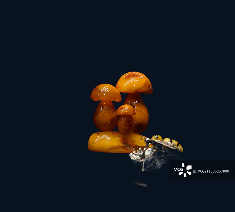 摆件，波兰‘波罗的海琥珀艺术品，蘑菇图片素材