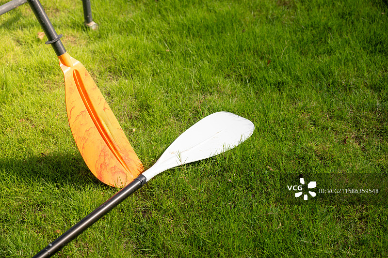 草地上的双色桨图片素材