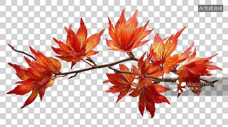 【AI数字艺术】红枫叶树枝图片素材