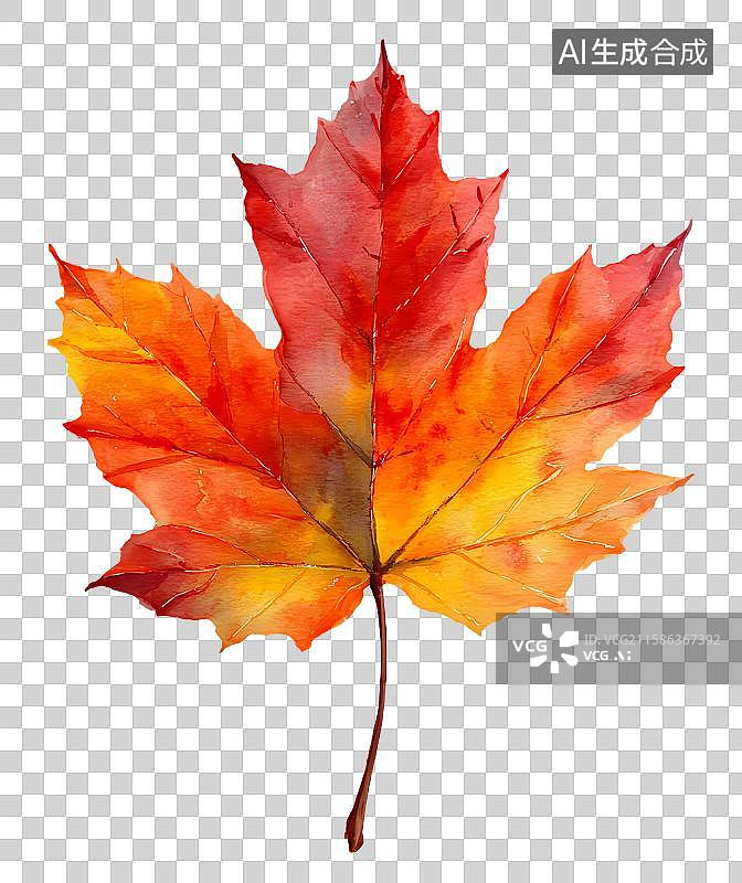 【AI数字艺术】水彩绘红色枫叶图片素材
