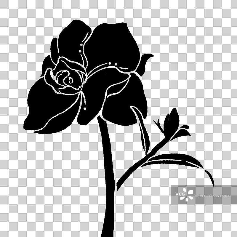 新中式黑白牡丹花图片素材