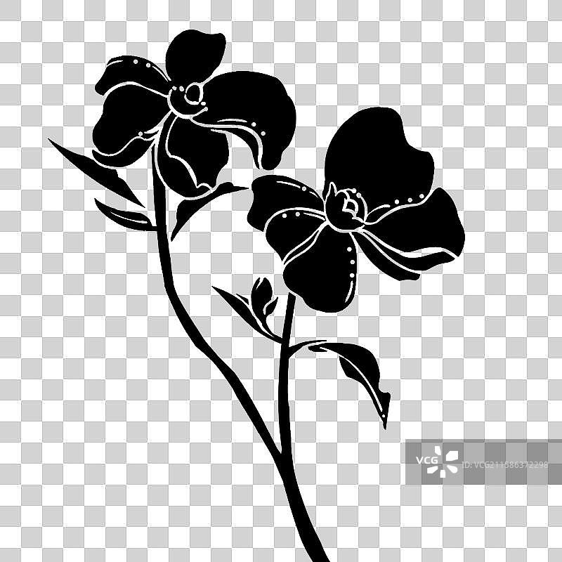 新中式黑白牡丹花装饰图片素材