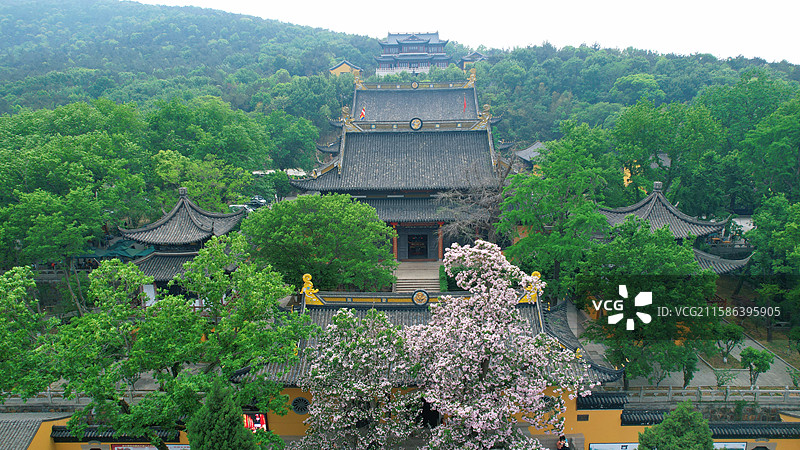 江南苏州常熟三峰清凉禅寺百年楸树航拍图片素材
