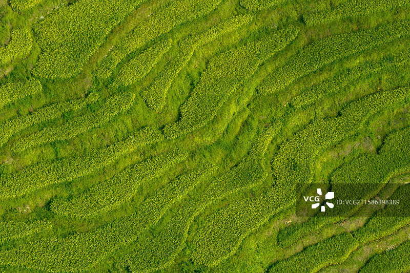 航拍湖南省宜章县欧家洞村的梯田图片素材